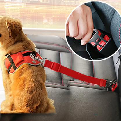 Adjustable Safety Belt