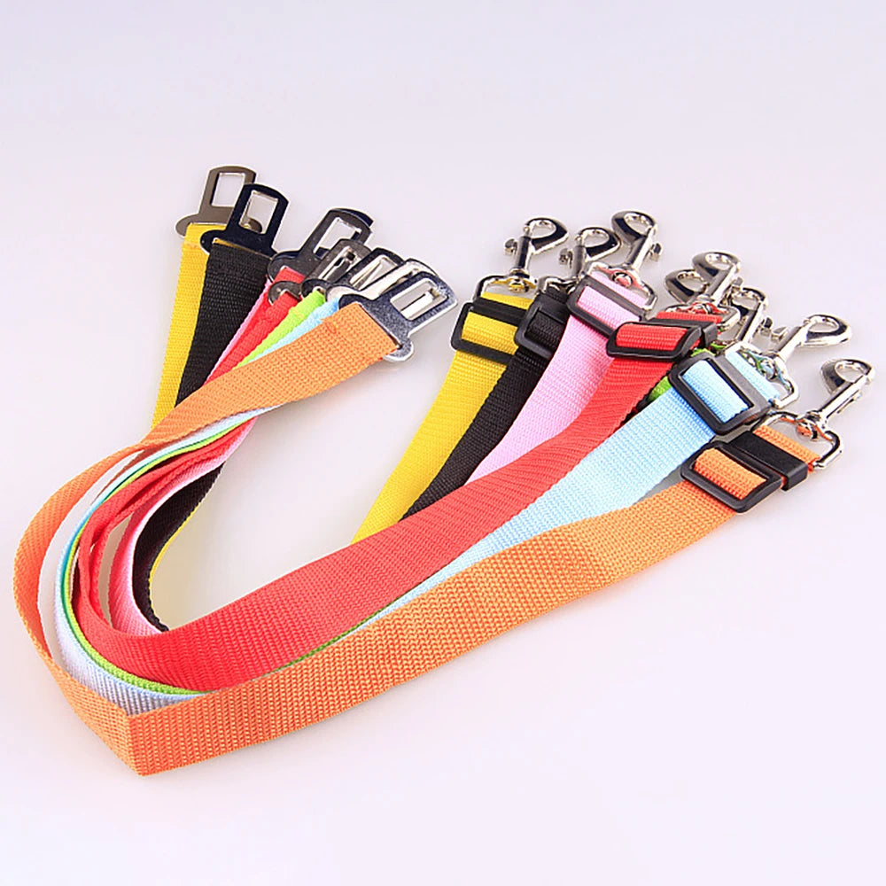 Adjustable Safety Belt