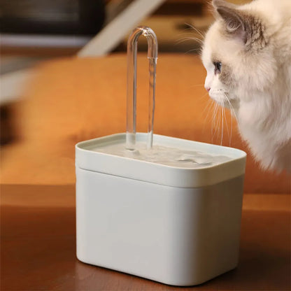 Pet water drinking Dispenser