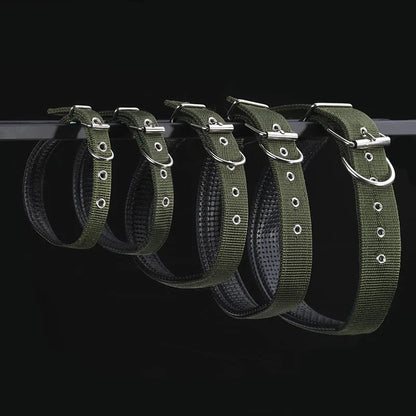 Durable Dog Collar