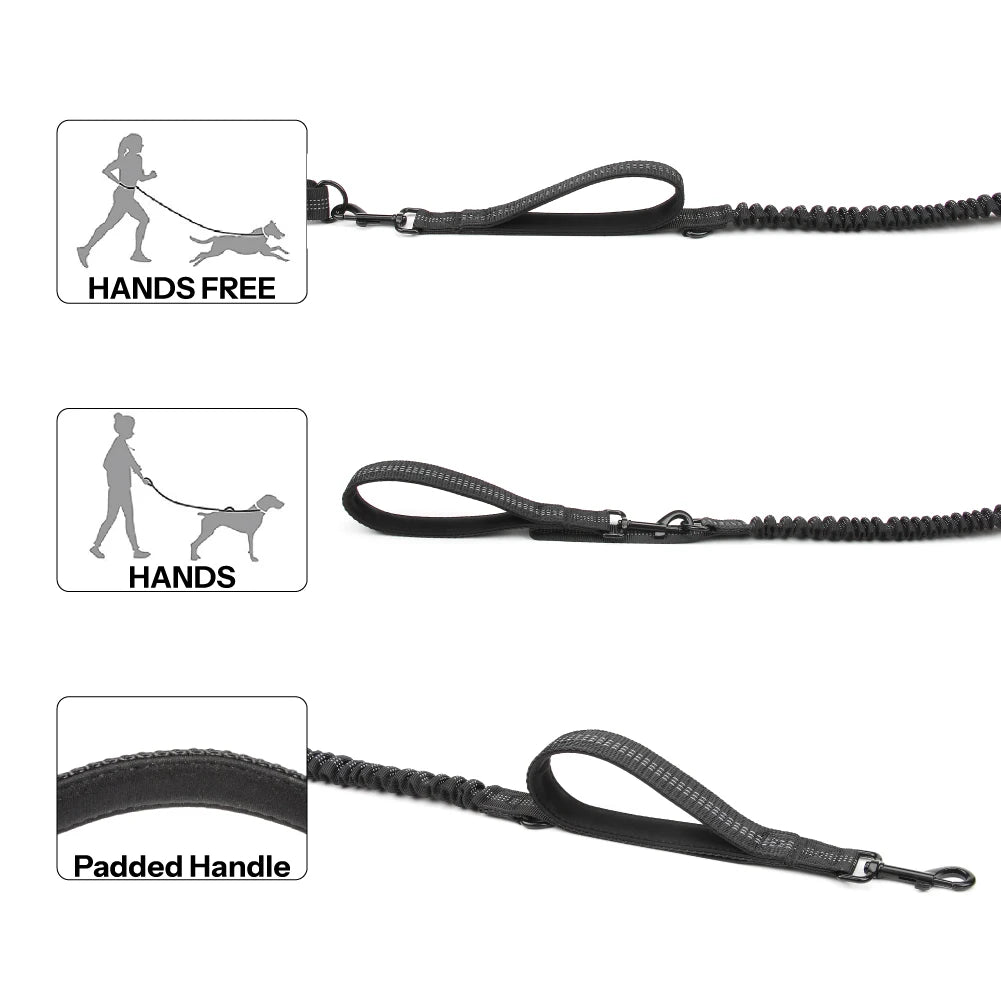 Retractable Hands Free Dog Leash