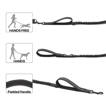 Retractable Hands Free Dog Leash