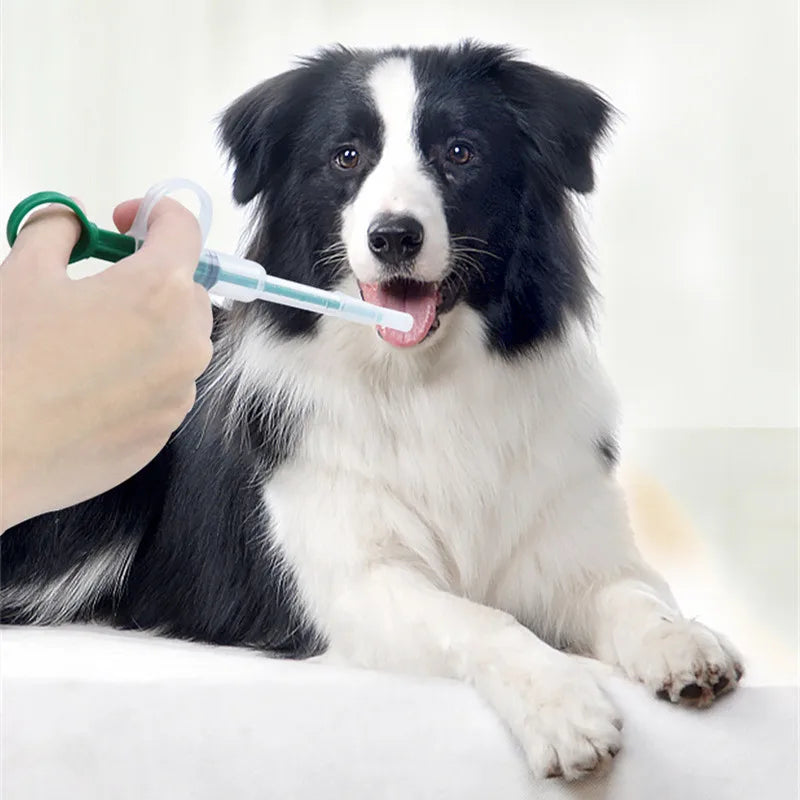 Pet Medicine Syringe