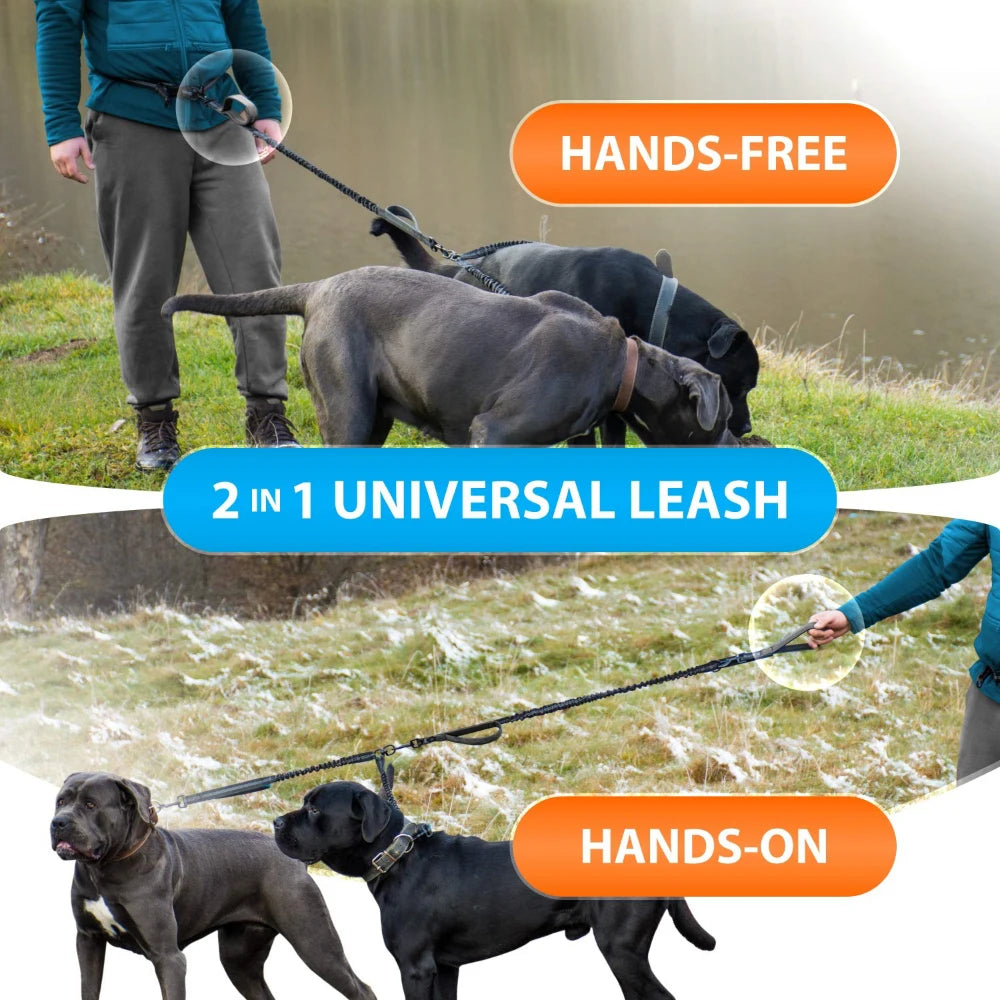 Retractable Hands Free Dog Leash