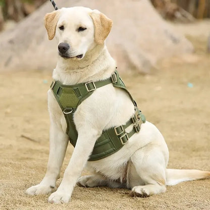 Tactical Dog Harness